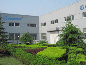 Pneuflex Company